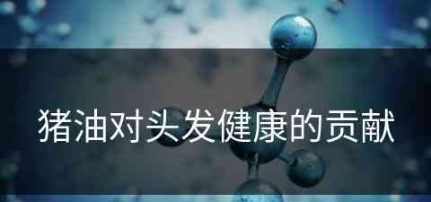 猪油对头发健康的贡献(猪油对头发健康的贡献有哪些)